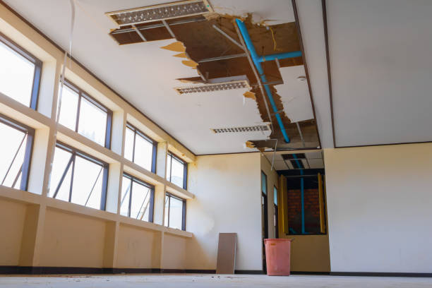 Best Mold removal after water damage  in Estell Manor, NJ