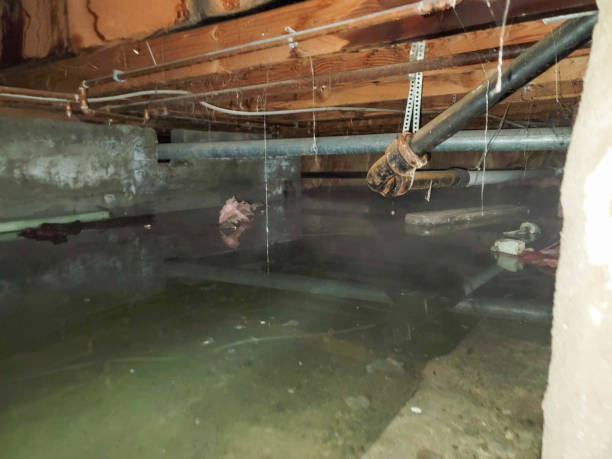 Best Flood restoration services  in Estell Manor, NJ