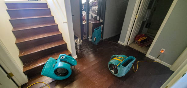 Best Water damage restoration cost  in Estell Manor, NJ