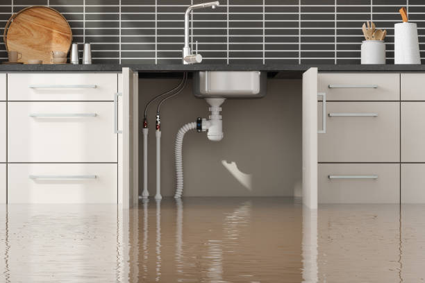 Best Professional water damage repair  in Estell Manor, NJ